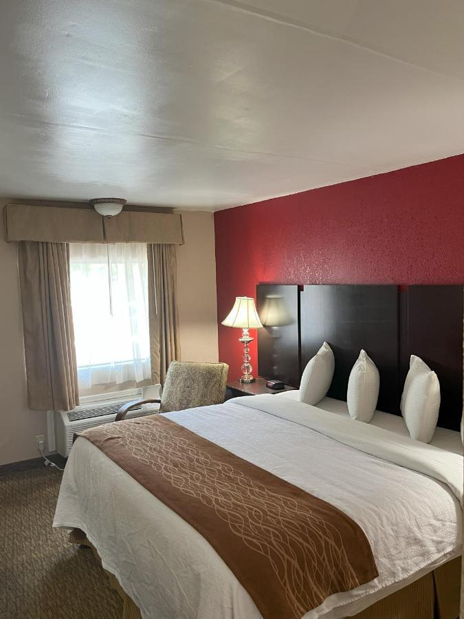 Pinetree Inn Parsons Luaran gambar